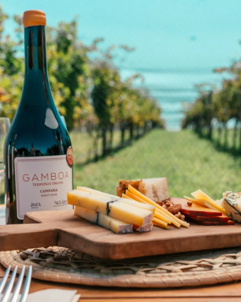 Actividad Bodega Gamboa: Vinos, Naturaleza y Tradición